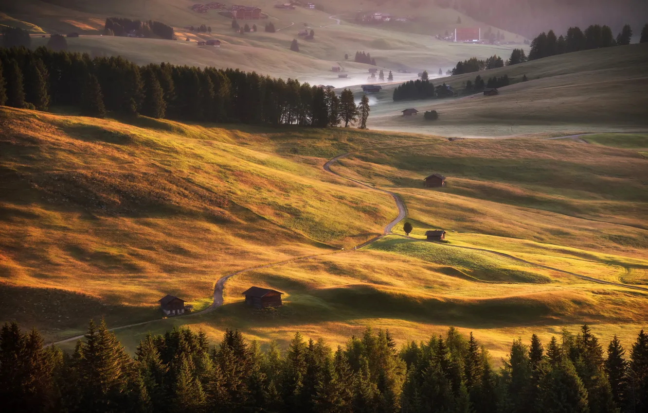 Photo wallpaper road, field, autumn, forest, light, mountains, fog, hills