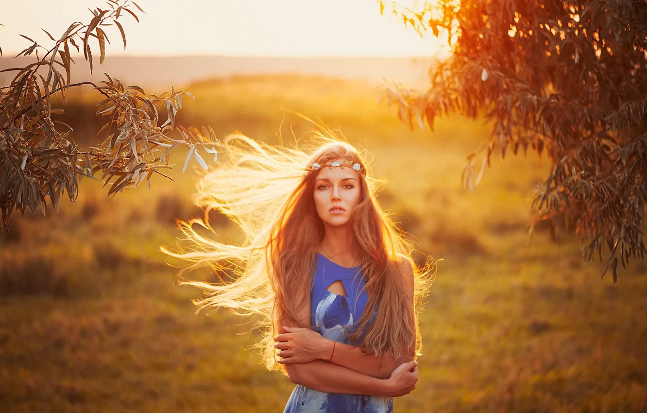 Photo wallpaper field, look, the sun, trees, landscape, branches, pose, model