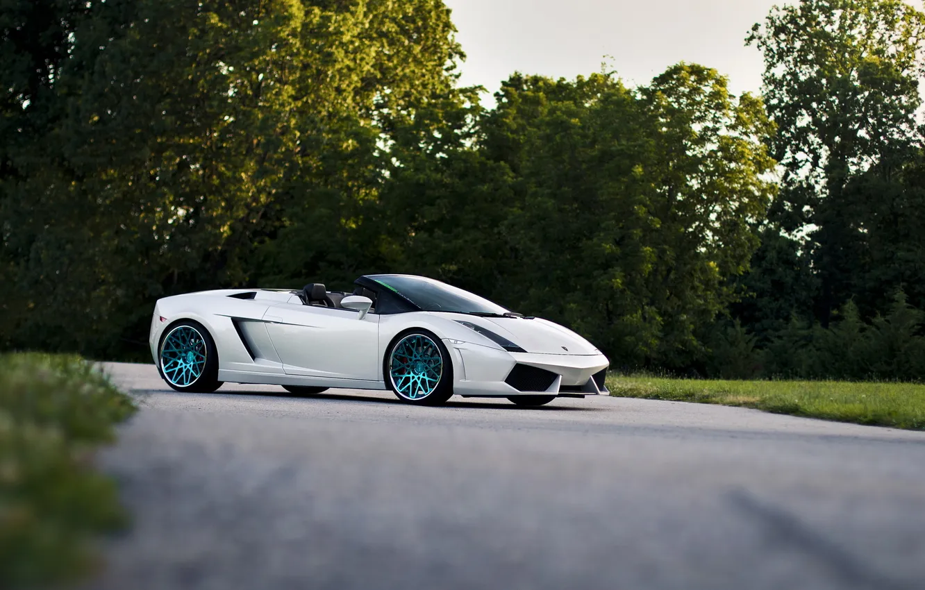 Photo wallpaper road, tuning, convertible, spider, Lamborghini, Lamborghini Gallardo