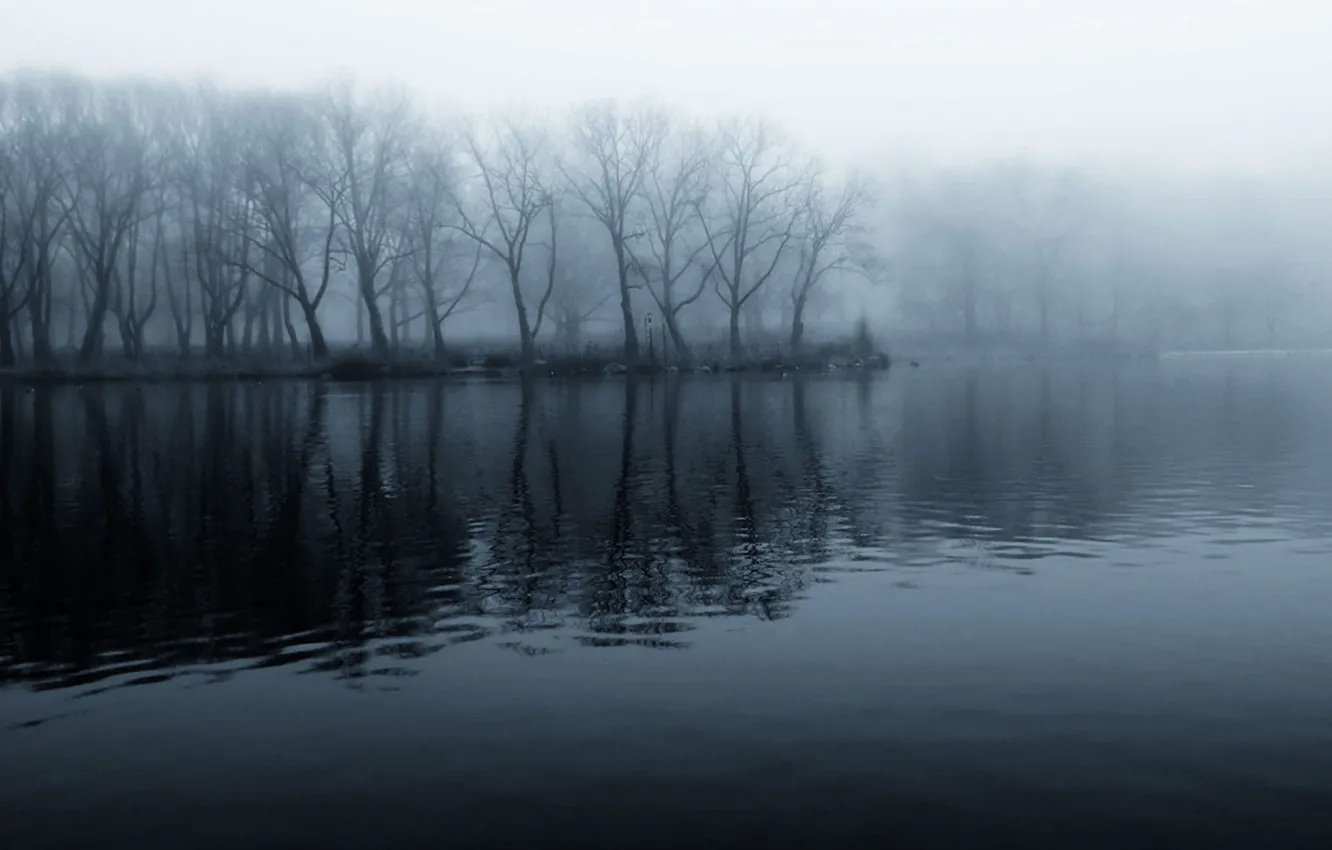 Photo wallpaper forest, water, mystic, black and white