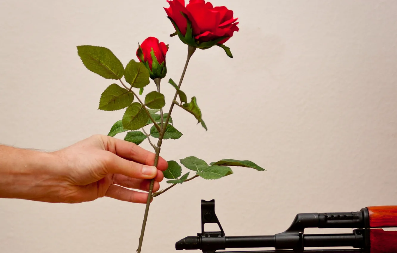 Photo wallpaper flower, weapons, rose