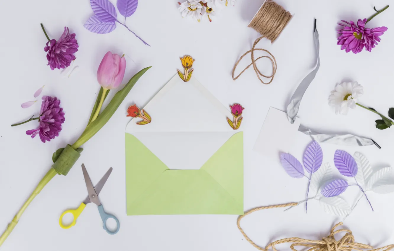 Photo wallpaper leaves, flowers, Tulips, thread, scissors, Chrysanthemum, The envelope