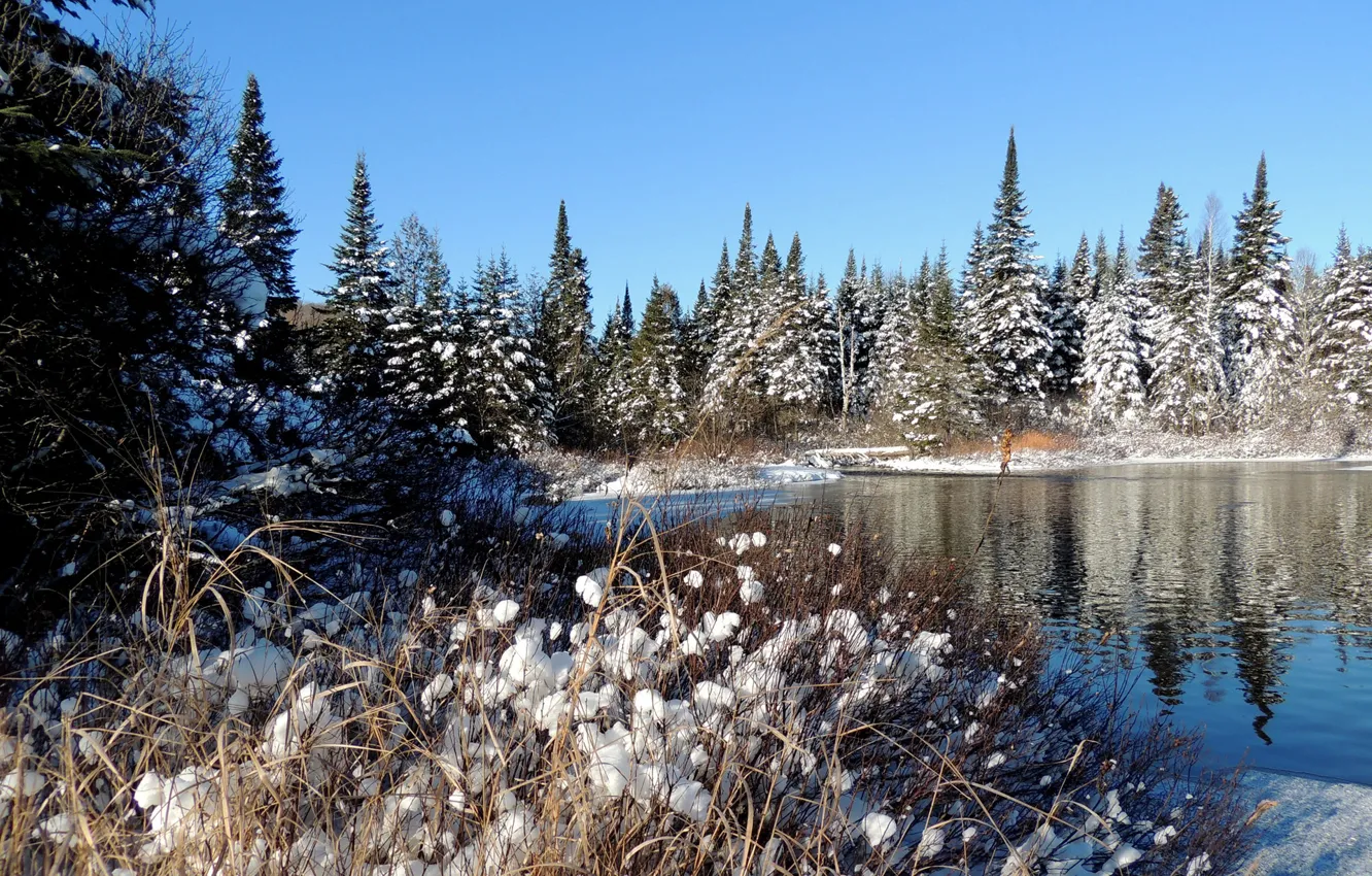 Photo wallpaper winter, forest, the sky, snow, trees, river