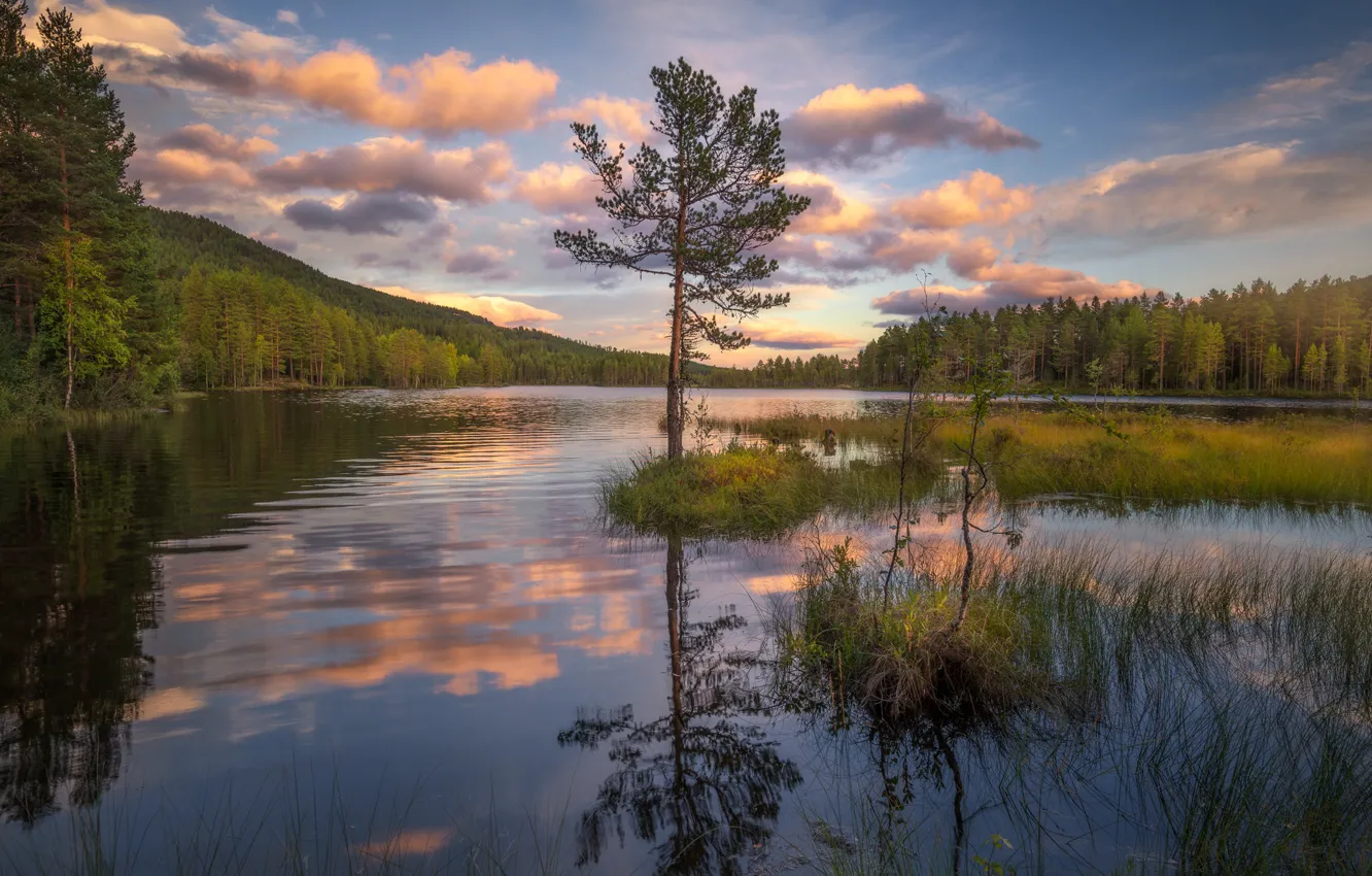 Photo wallpaper forest, the sky, sunset, nature, lake, reflection, Norway, Norway