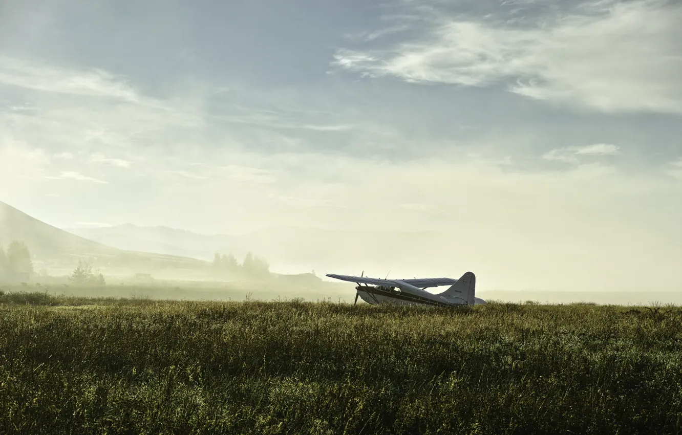 Photo wallpaper field, fog, the plane