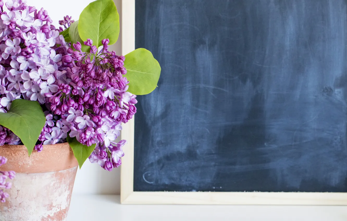 Photo wallpaper flowers, bouquet, Board, lilac