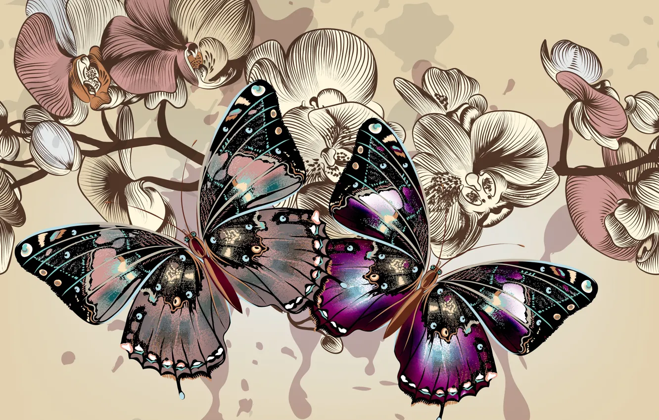 Photo wallpaper color, butterfly, flowers, background, wings, vector