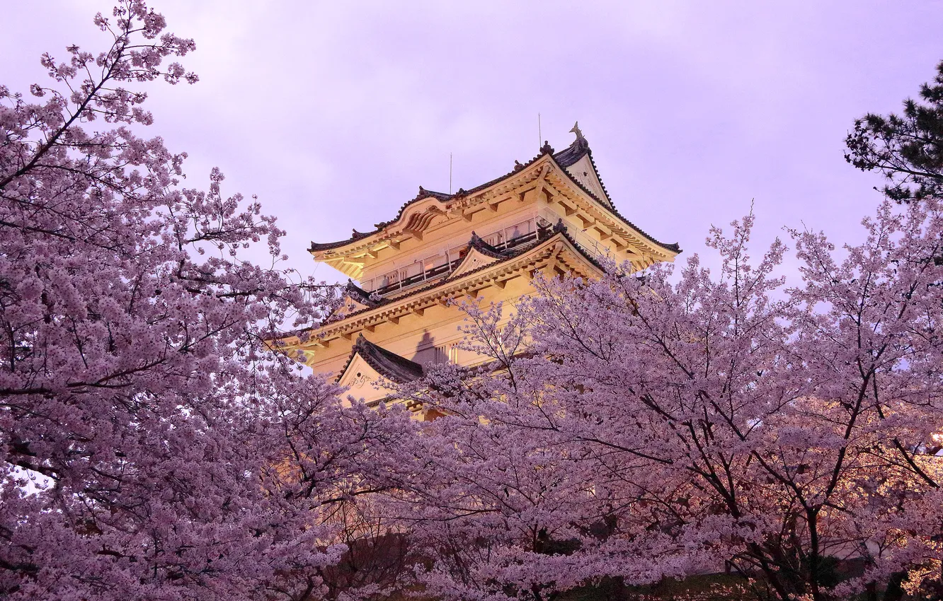 Photo wallpaper trees, spring, Japan, pagoda, flowering