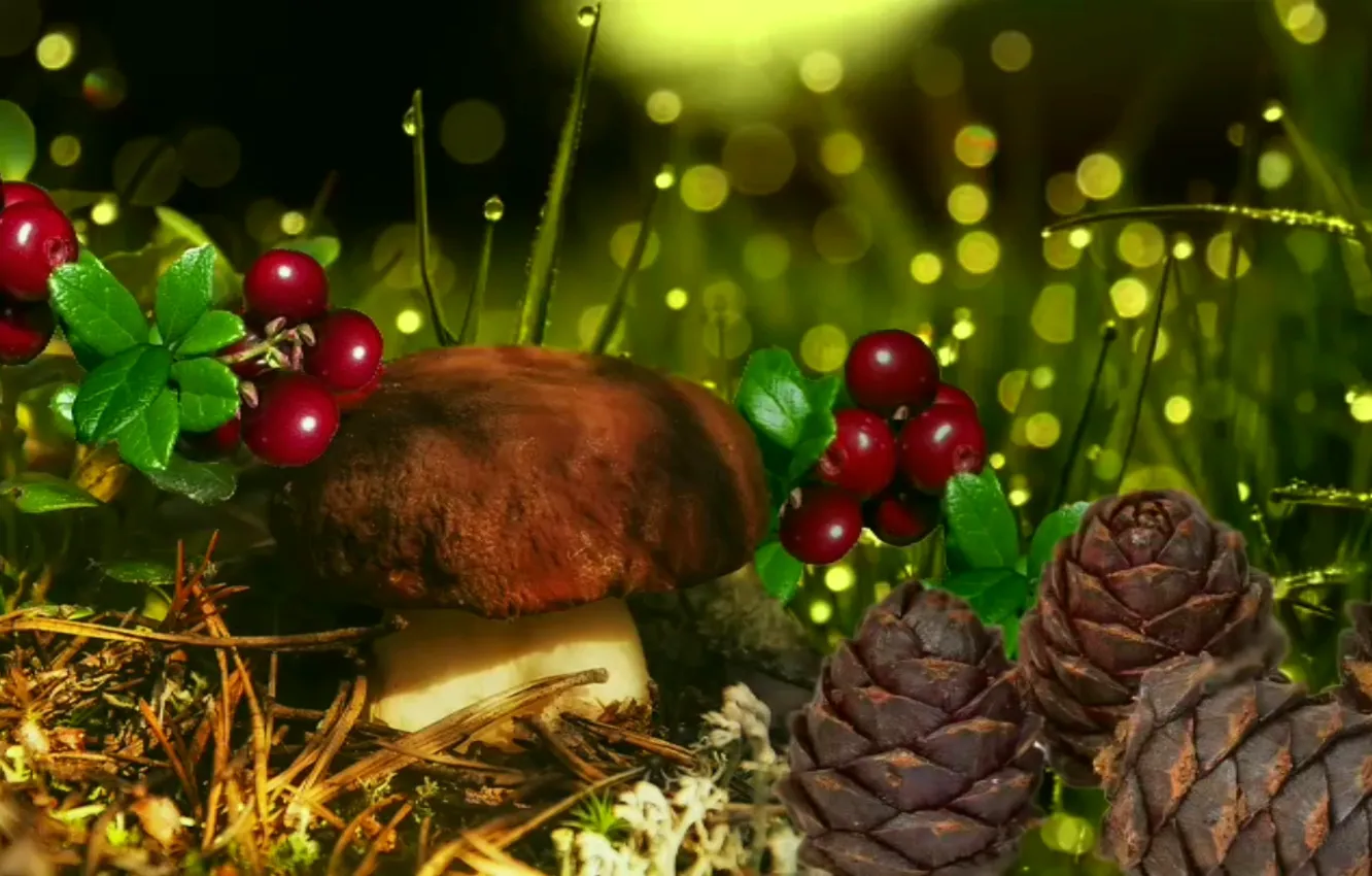 Photo wallpaper autumn, Rosa, berries, mushrooms, pine cones