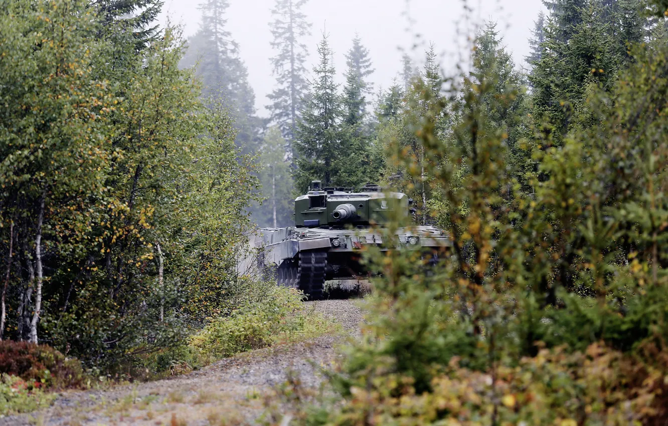 Photo wallpaper forest, tank, combat, armor, Leopard 2 A4