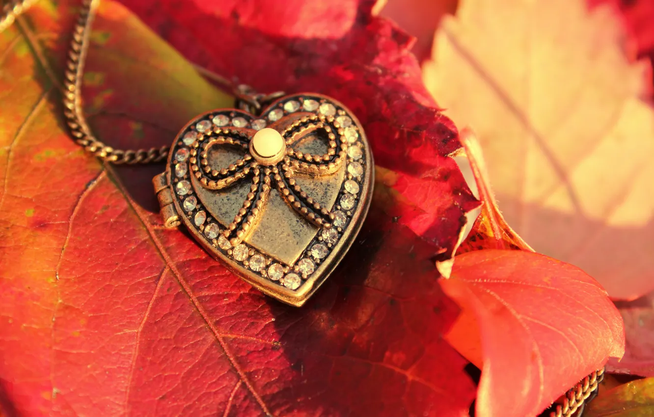 Photo wallpaper autumn, leaves, macro, heart, pendant, crystals, heart, suspension