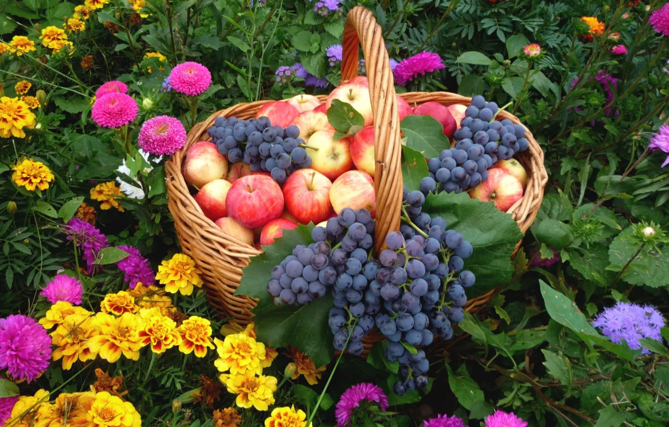 Photo wallpaper apples, grapes, fruit, still life, marigolds