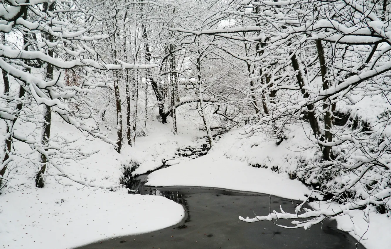 Photo wallpaper winter, forest, water, snow, nature, frost, forest, Nature