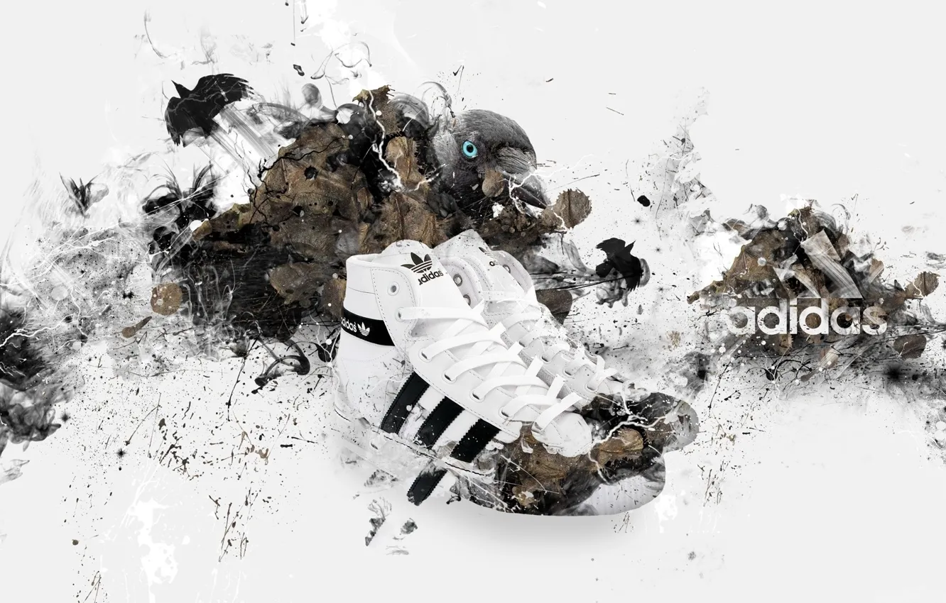 Photo wallpaper bird, Adidas, adidas, sneakers, brand, brand