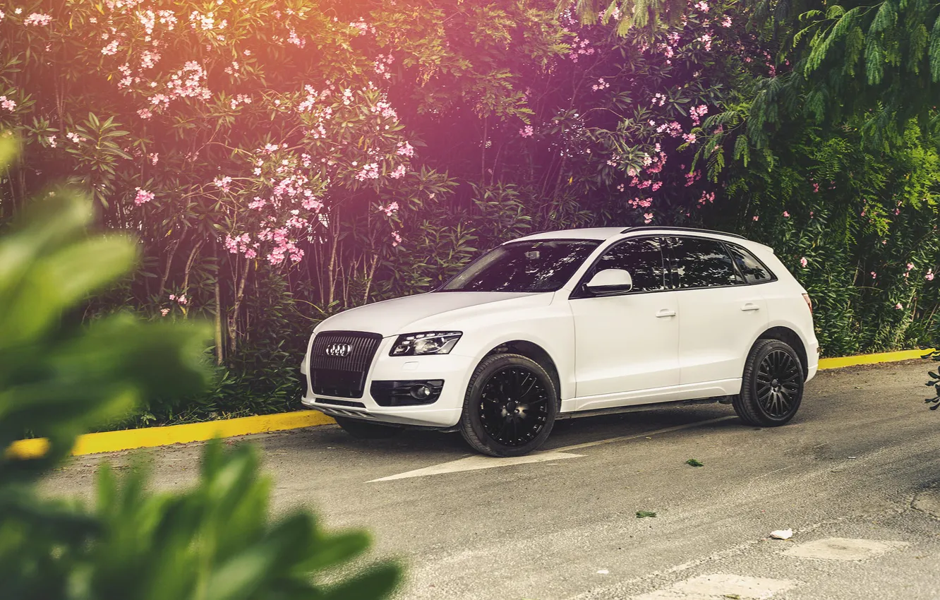 Photo wallpaper white, Audi, Audi, white, Device One