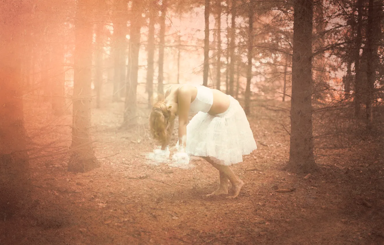 Photo wallpaper forest, girl, trees, smoke