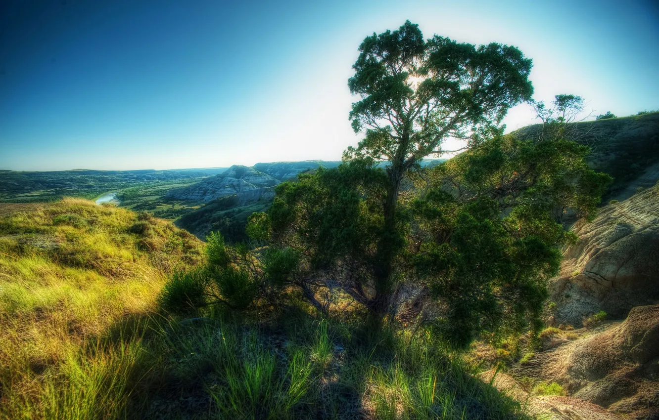 Photo wallpaper trees, mountains, river