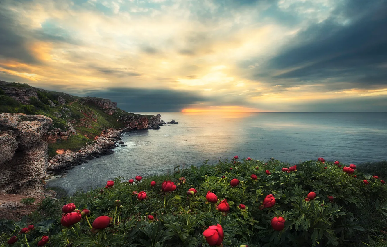 Photo wallpaper sea, the sky, clouds, sunset, flowers, stones, rocks, coast