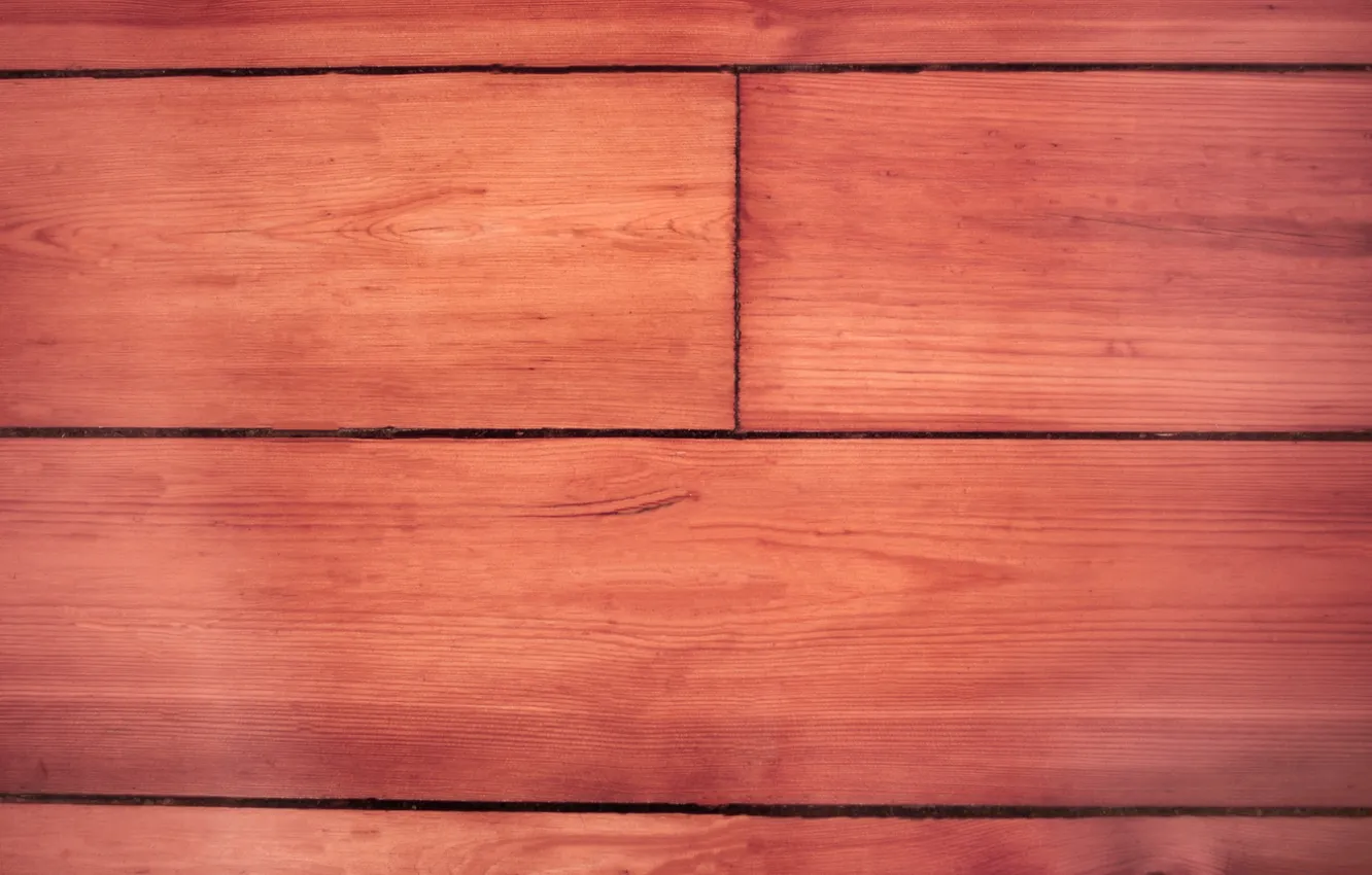 Photo wallpaper trees, Board, color, structure