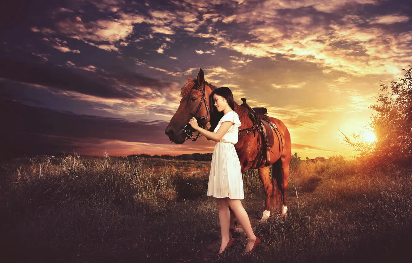 Photo wallpaper girl, sunset, mood, horse