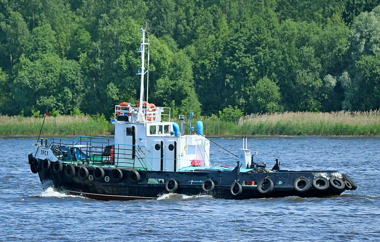 Photo wallpaper eagle, tug, river