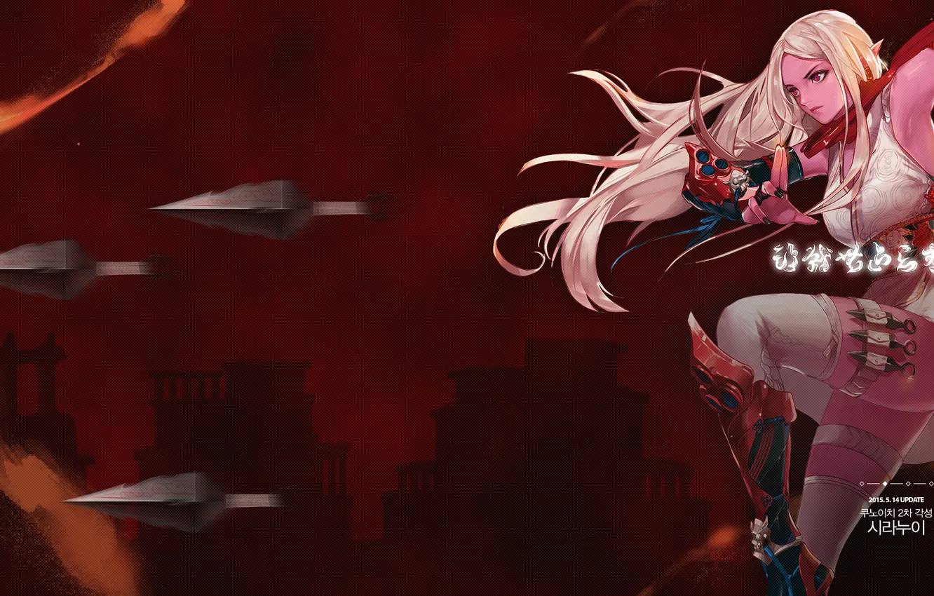 Photo wallpaper girl, weapons, anime, art, dungeon and fighter