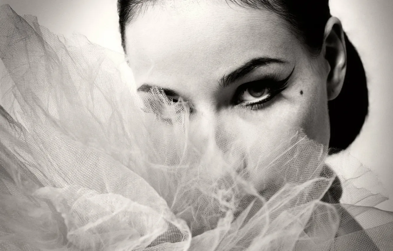 Photo wallpaper girl, model, black and white, DITA VON TEESE, Dita Von Teese