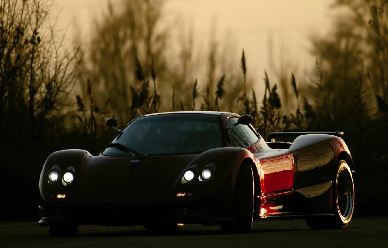 Photo wallpaper lights, supercar, Roadster, twilight, the bushes, the front, roadster, zonda