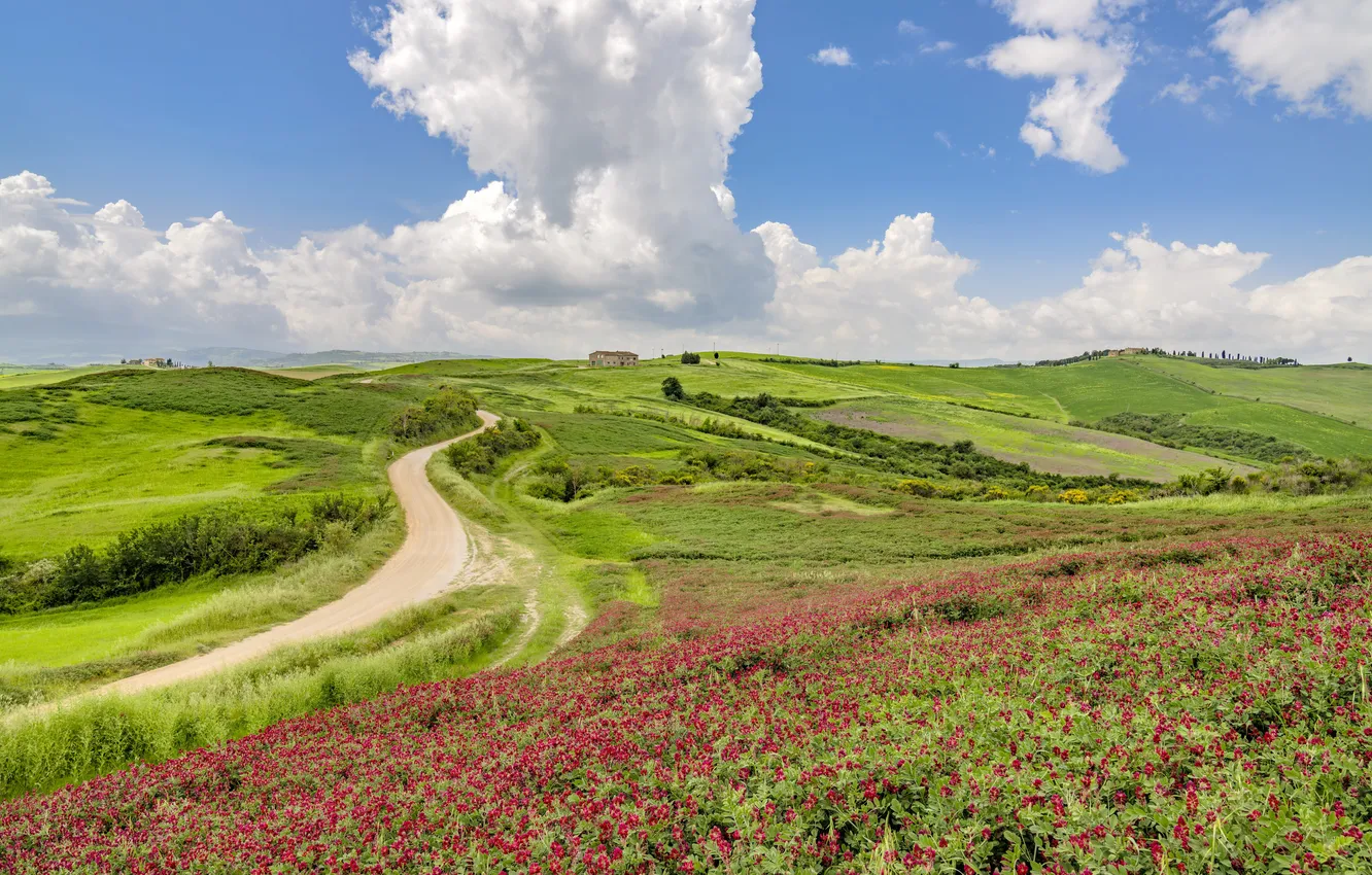 Photo wallpaper Tuscany, Trequanda, Castelmuzio