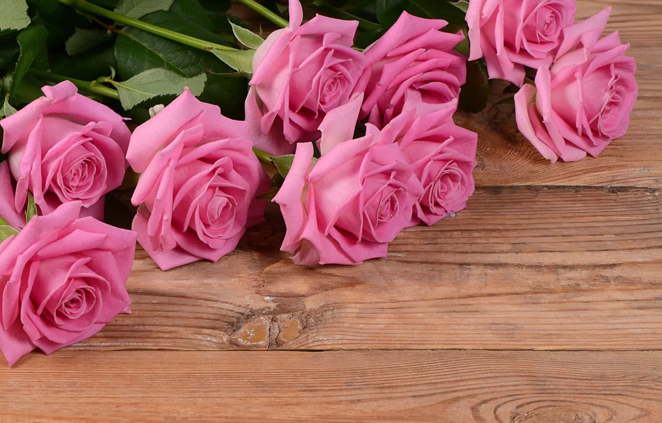 Photo wallpaper flowers, background, Board, roses
