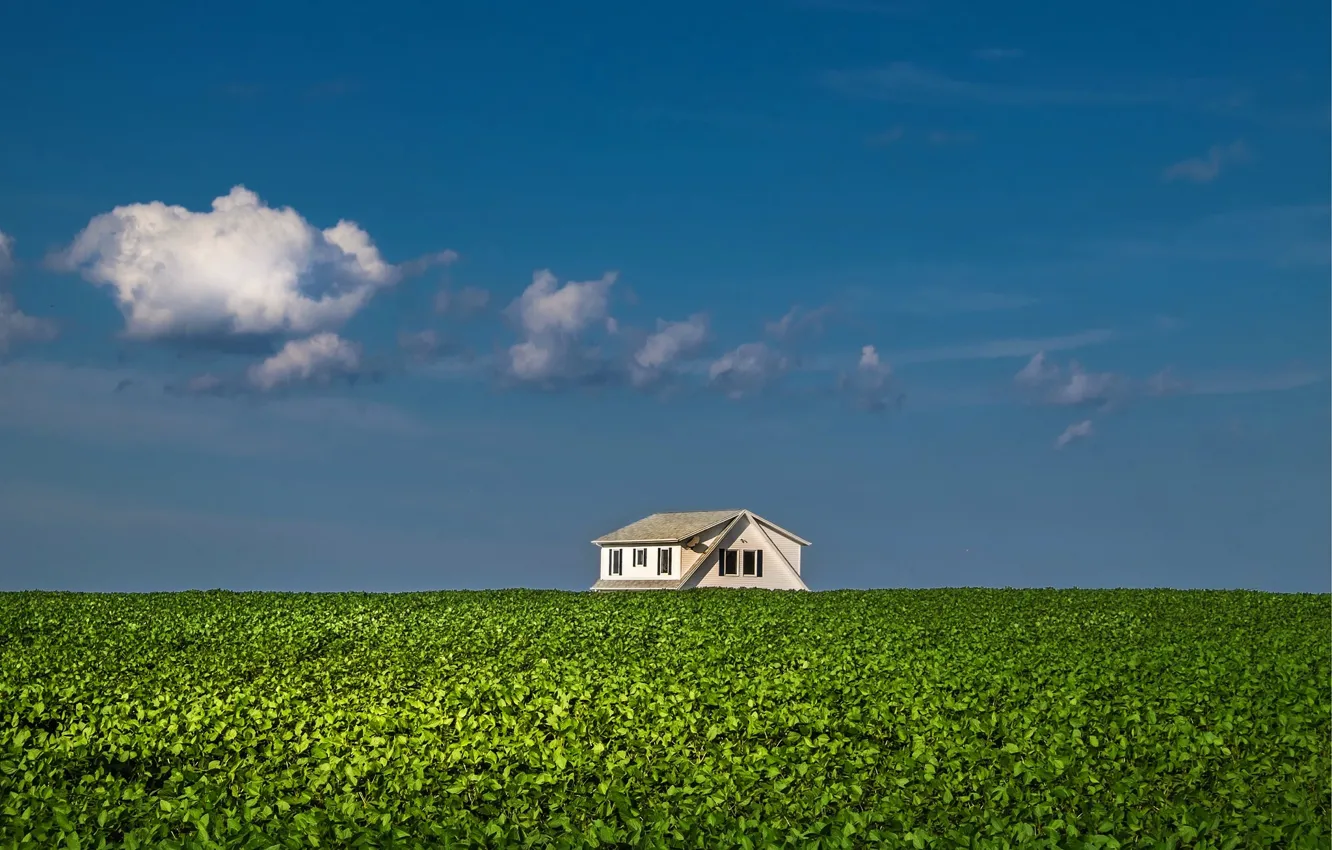 Photo wallpaper house, sky, clouds, farm, sunny, farmland, potatoe field