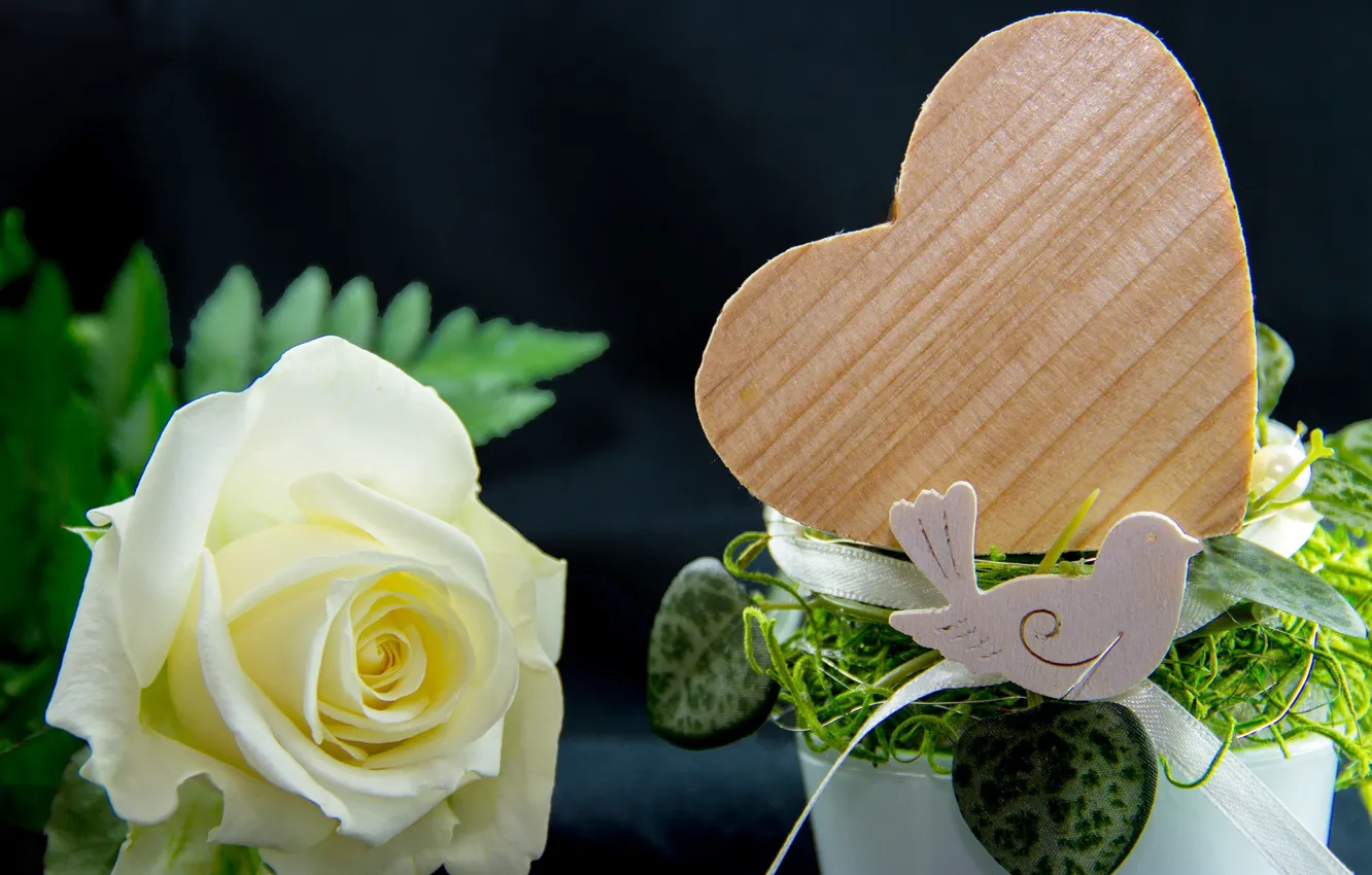 Photo wallpaper flowers, roses, hearts, bird, buds