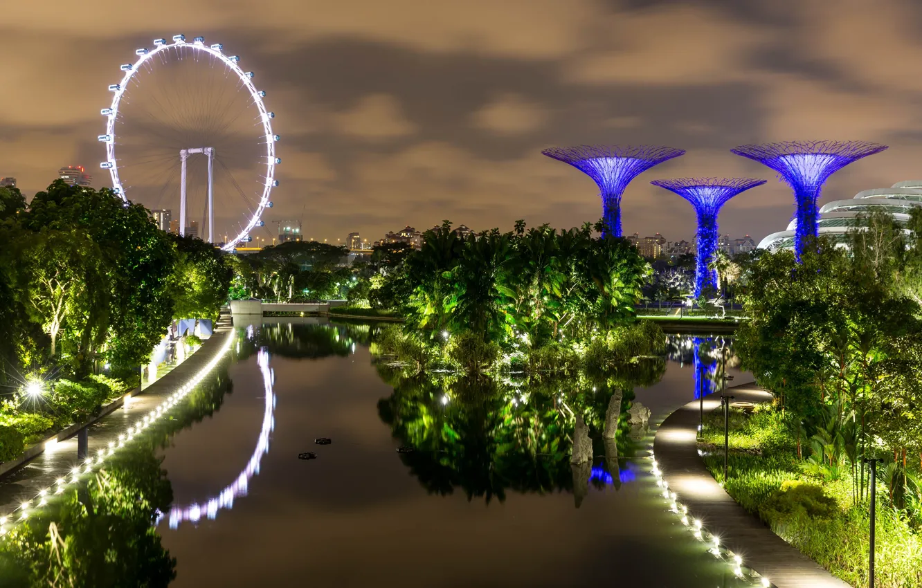 Photo wallpaper pond, photo, Singapore, Singapore, Gardens by the Bay
