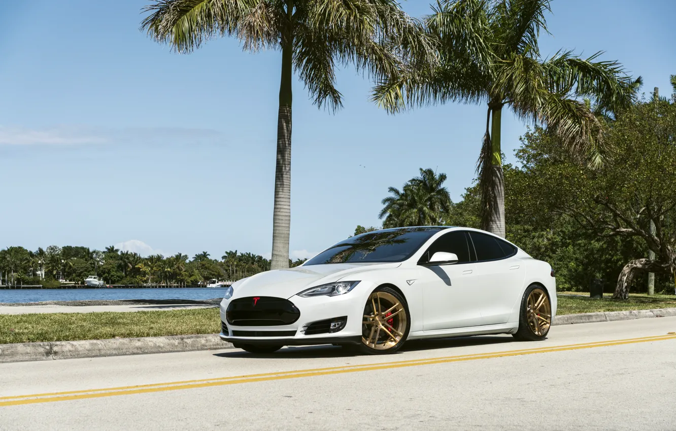 Photo wallpaper Tesla, model, Wheels, Niche