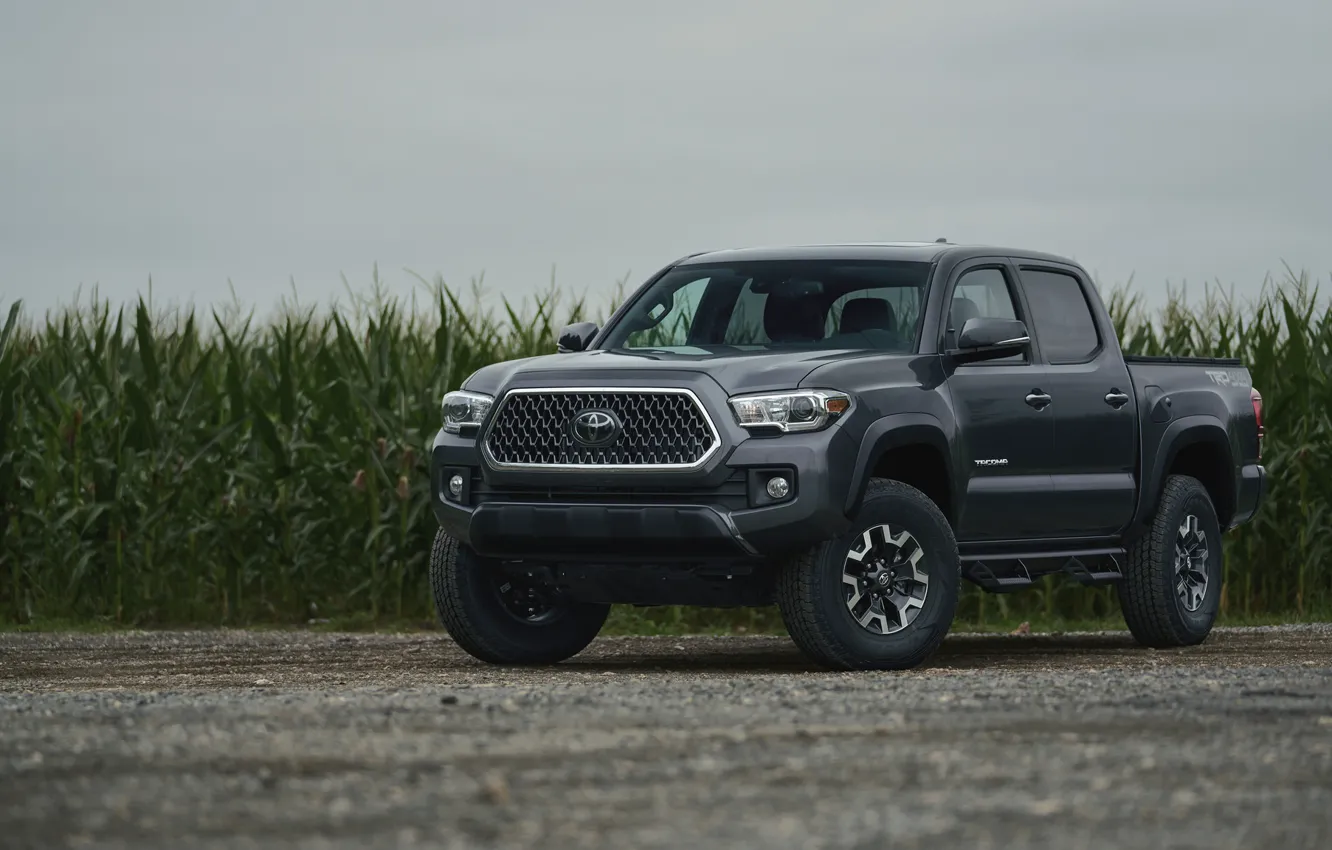 Photo wallpaper Toyota, TRD, Tacoma, Offroad