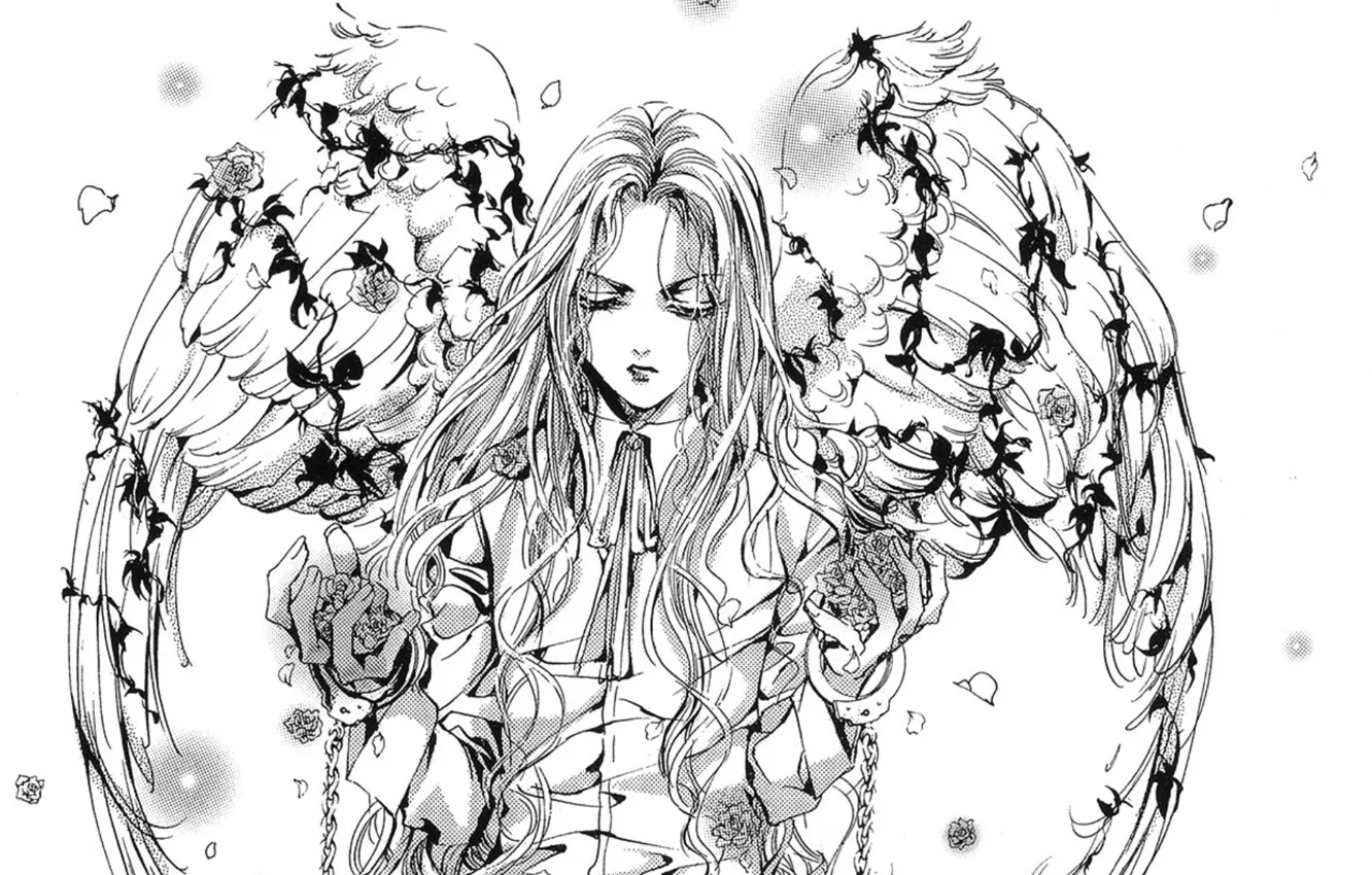 Photo wallpaper figure, black and white, roses, wings, petals, chain, long hair, art