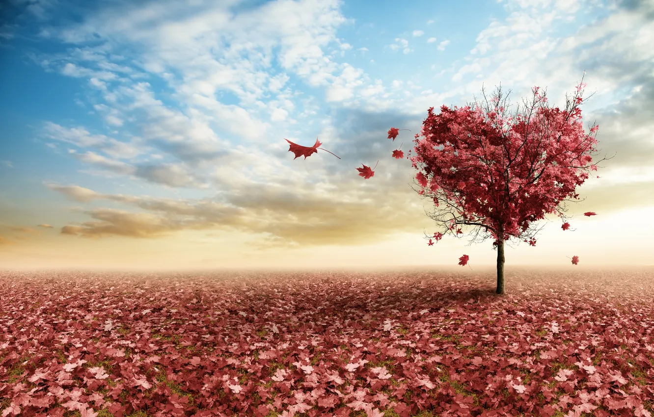 Photo wallpaper the sky, leaves, trees, branches, heart, pink