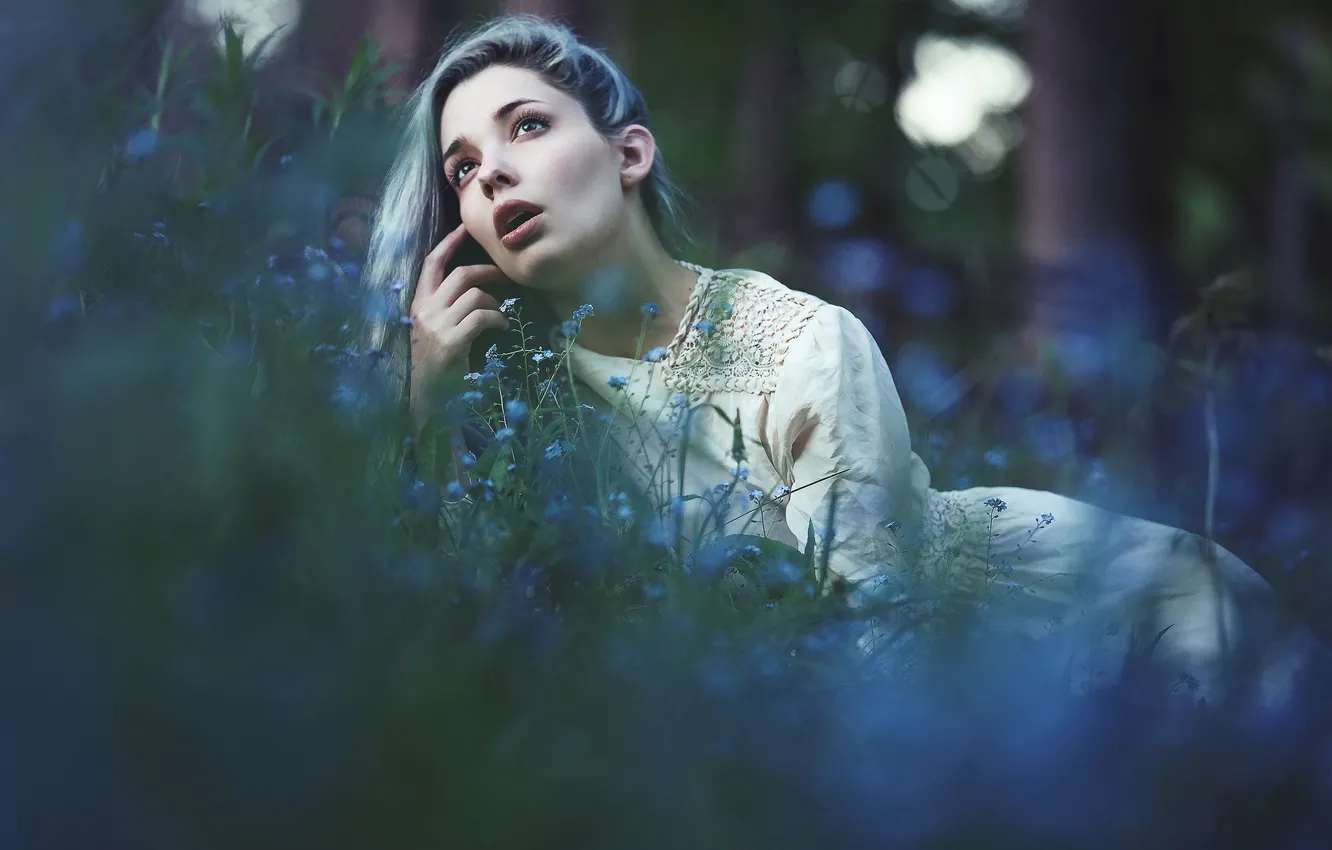 Photo wallpaper forest, look, girl, flowers, nature, face, pose, background