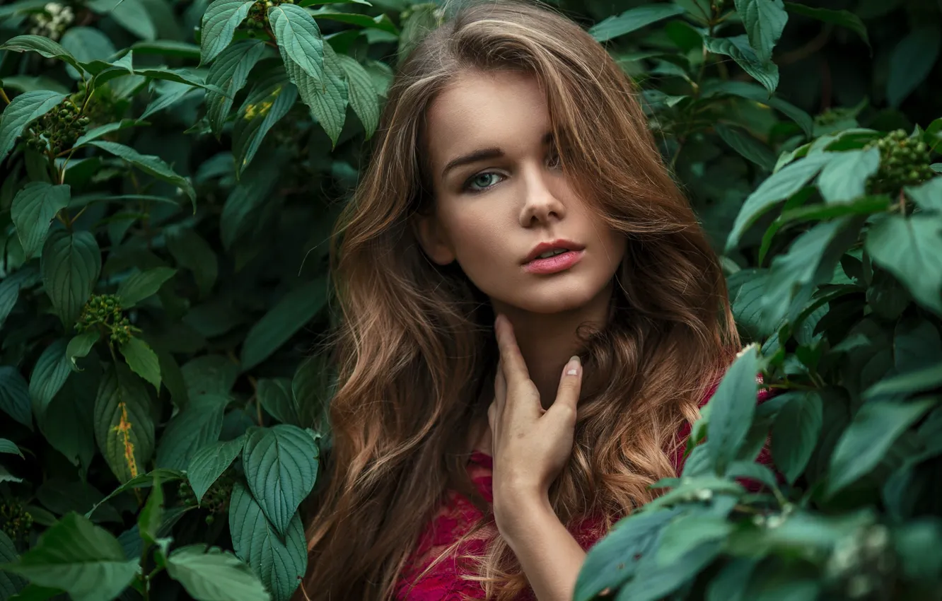 Photo wallpaper look, leaves, girl, face, green, portrait, light, brown hair