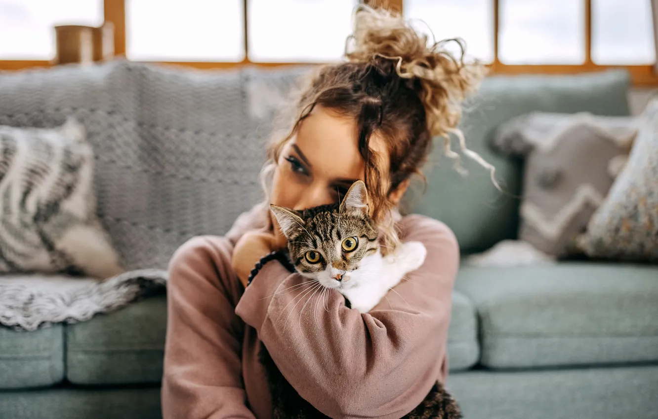 Photo wallpaper cat, cat, look, girl, pose, grey, room, sofa