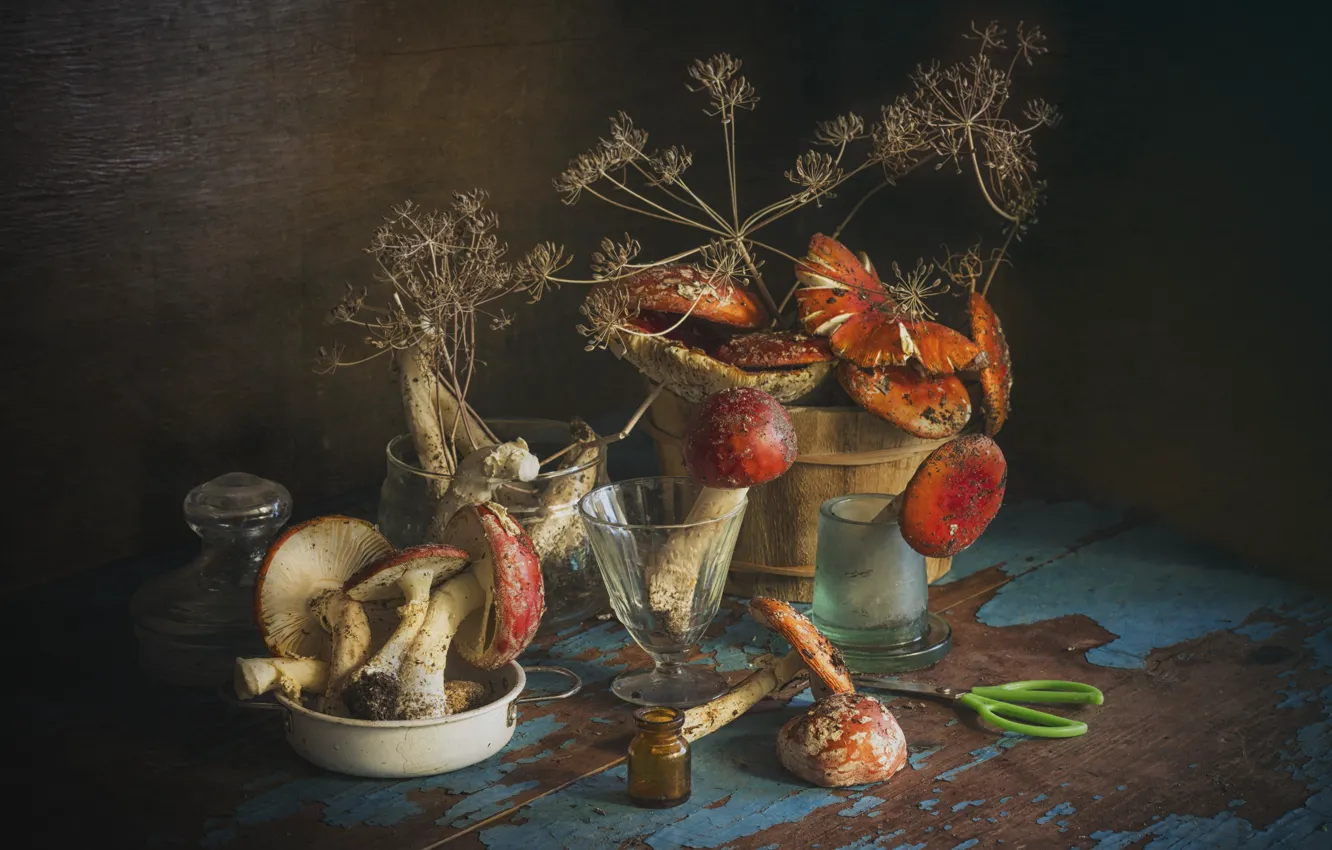 Photo wallpaper branches, table, mushrooms, glass, mushroom, dill, jars, dishes