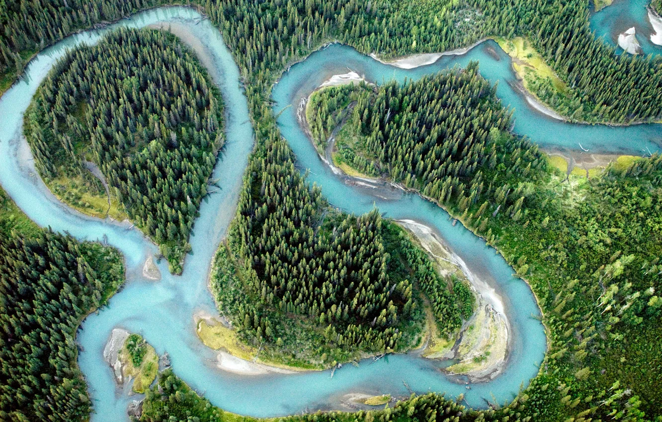 Photo wallpaper forest, trees, landscape, nature, river, plants, valley, the view from the top