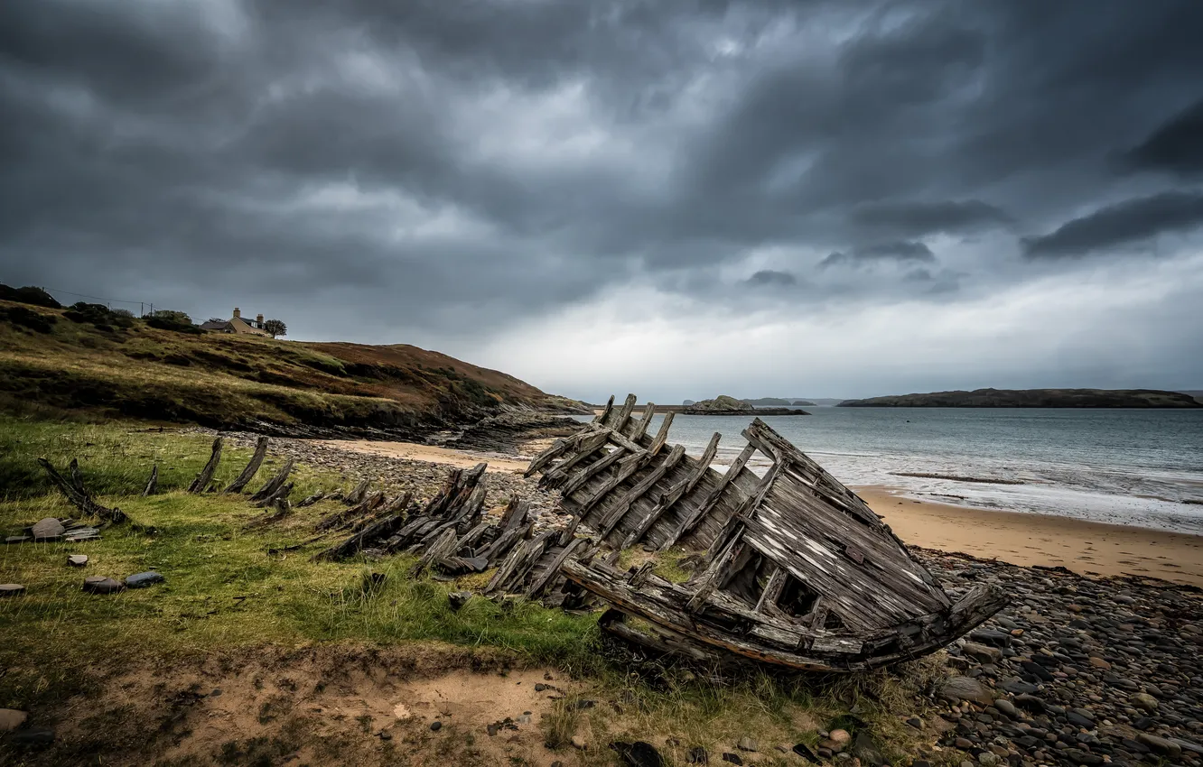 Photo wallpaper shore, the skeleton, pond