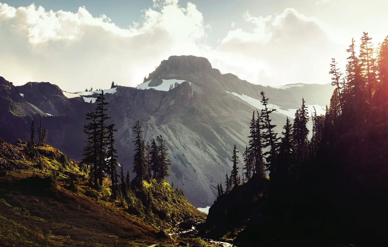 Photo wallpaper trees, landscape, mountains