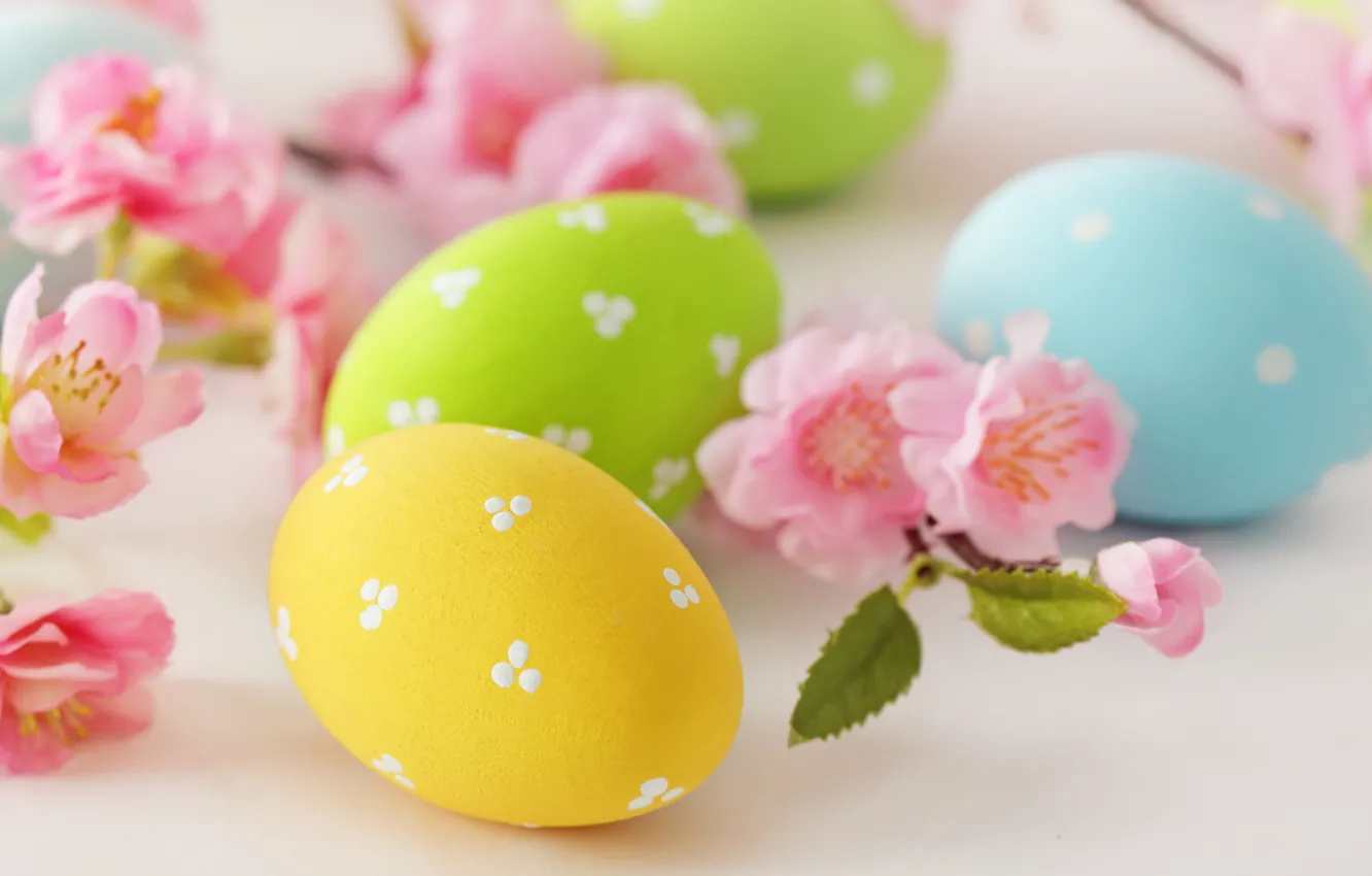 Photo wallpaper flowers, eggs, Easter, flowers, Easter, eggs, delicate, pastel