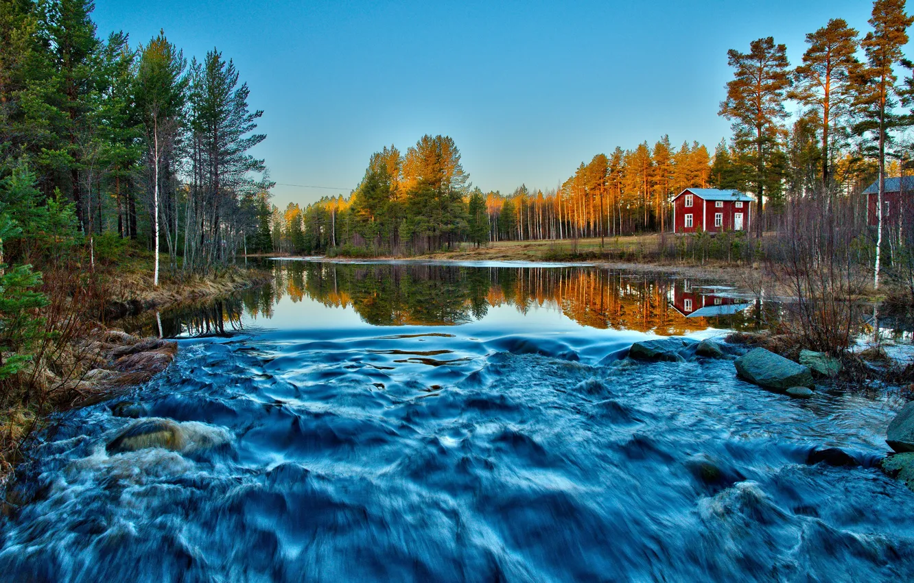 Photo wallpaper forest, river, movement, stream, morning, red, houses