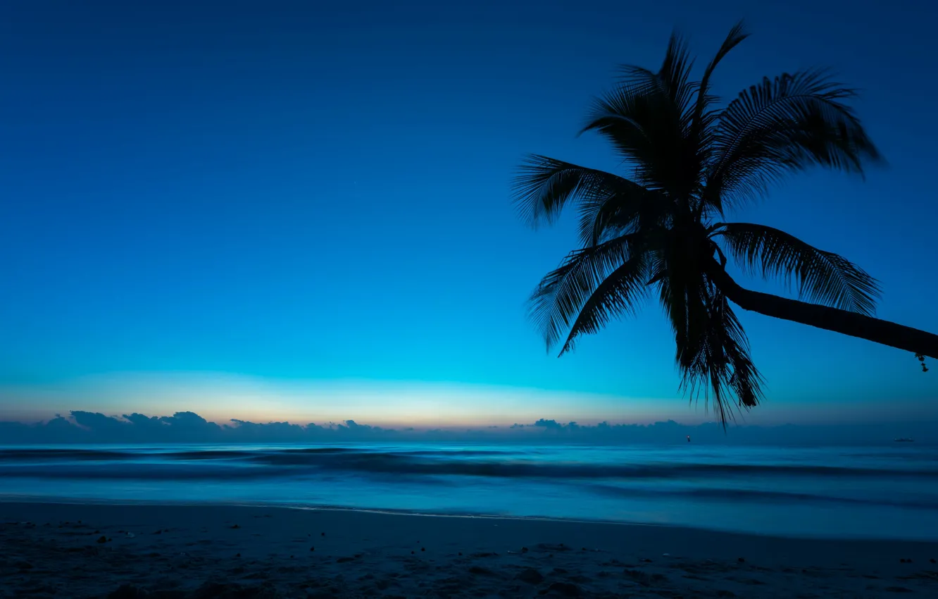 Photo wallpaper sea, beach, summer, night, tropics, Palma, Nature