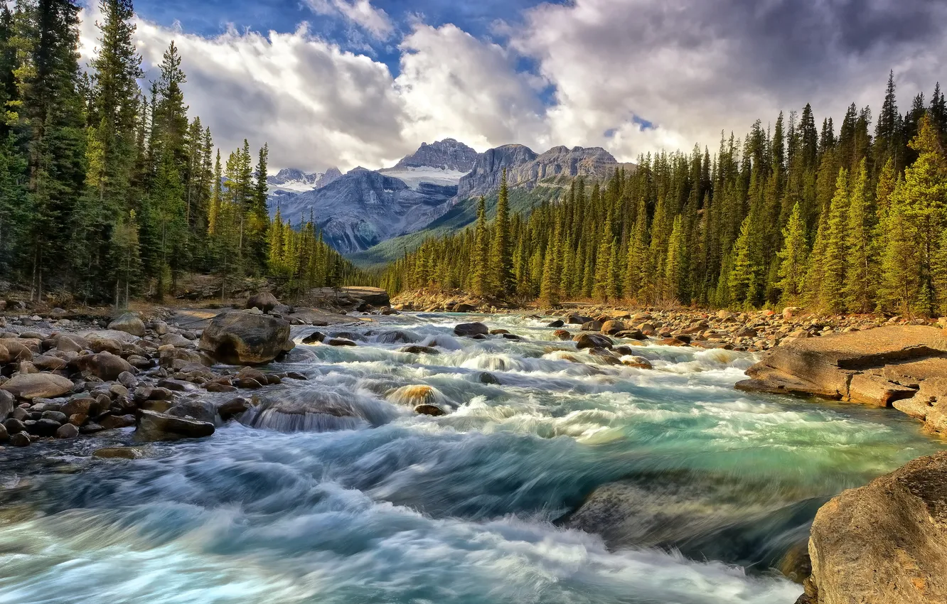 Photo wallpaper forest, mountains, river, stones, stream