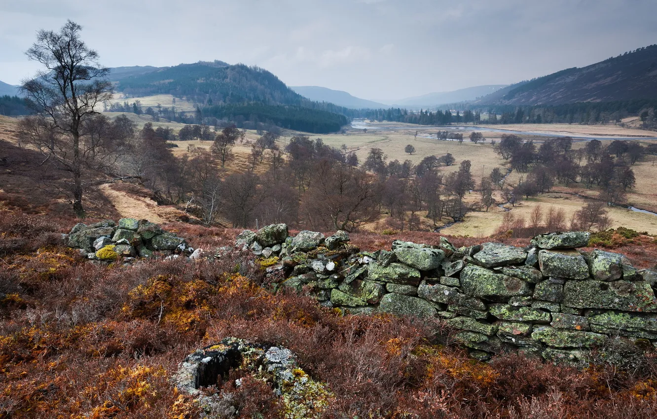 Photo wallpaper field, landscape, the fence