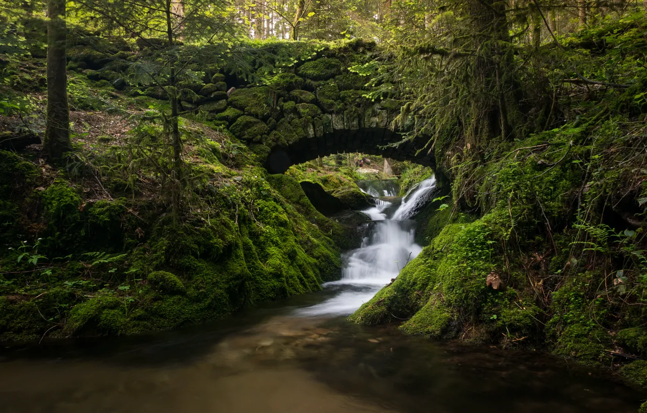 Photo wallpaper forest, bridge, stream, Germany, river, cascade, Germany, Black Forest